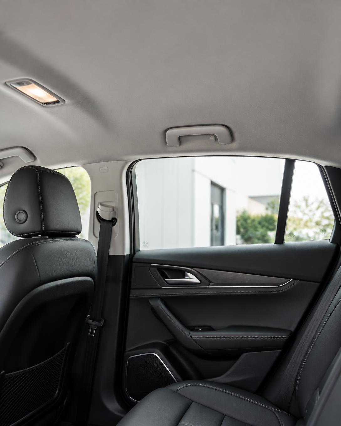Interior de automóvil limpio: techo interior y tapicería
